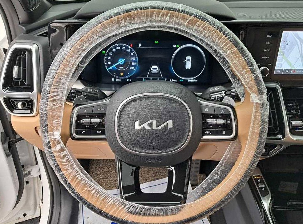 기아 쏘렌토 HEV 1.6 2WD 노블레스 사진 7