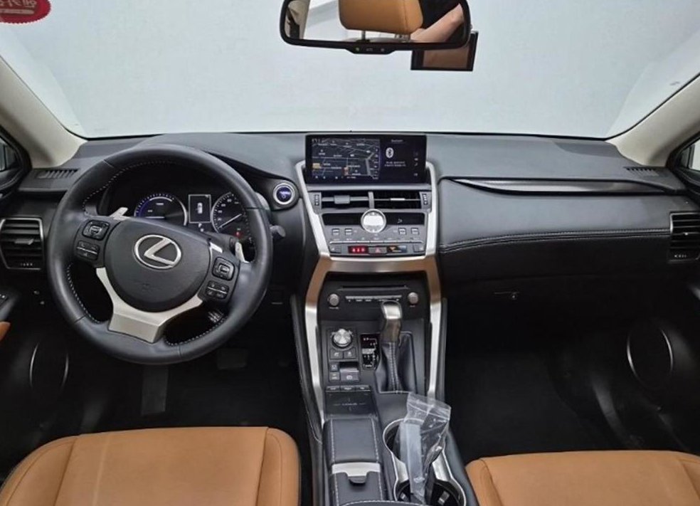 렉서스 NX 슈프림 사진 7