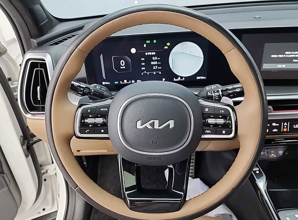 기아 쏘렌토 가솔린 2.5T 4WD 시그니처 사진 9