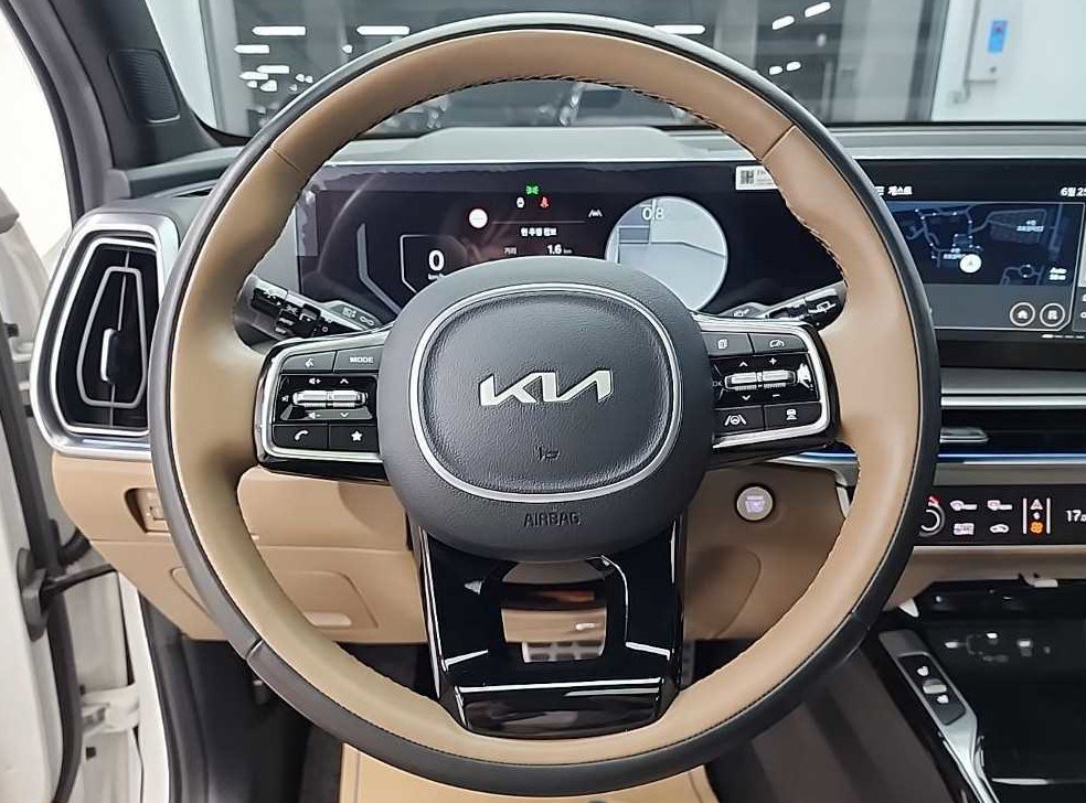 기아 쏘렌토 가솔린 2.5T 4WD 시그니처 그래비티 사진 9