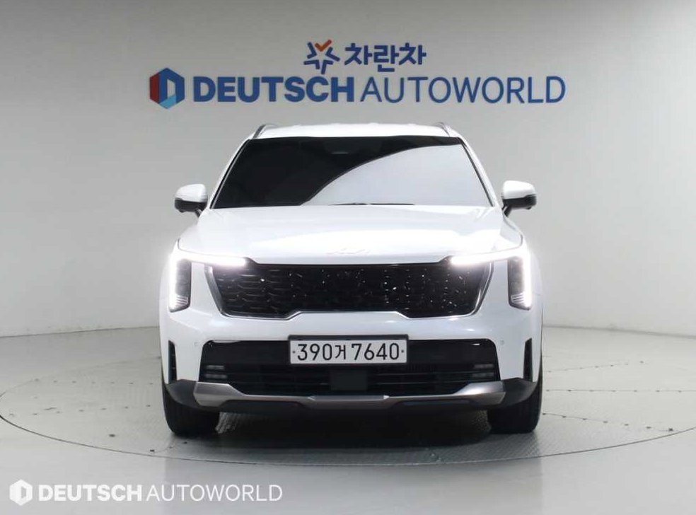 기아 쏘렌토 1.6T 2WD 노블레스 사진 3