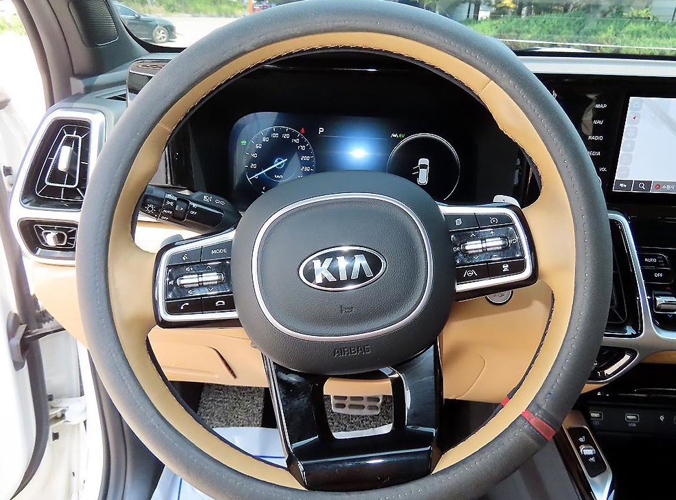 기아 쏘렌토 HEV 1.6 4WD 그래비티 사진 8
