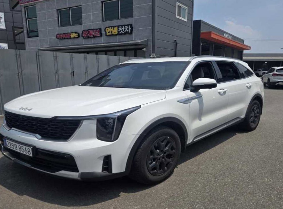 기아 쏘렌토 1.6T 2WD 노블레스 사진 2