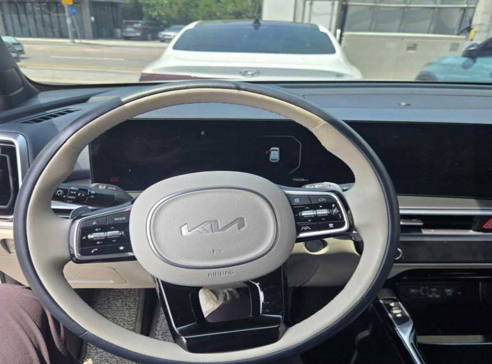 기아 쏘렌토 1.6T 2WD 노블레스 사진 6