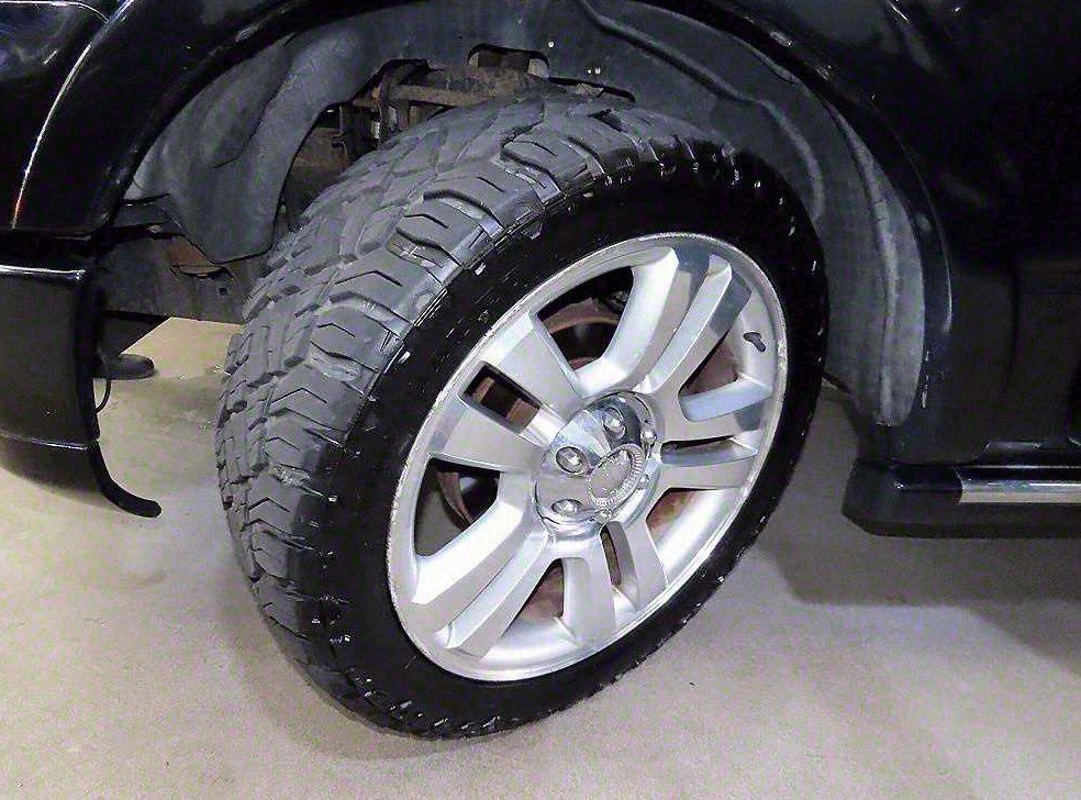 포드 F-Series 5.4L 사진 19