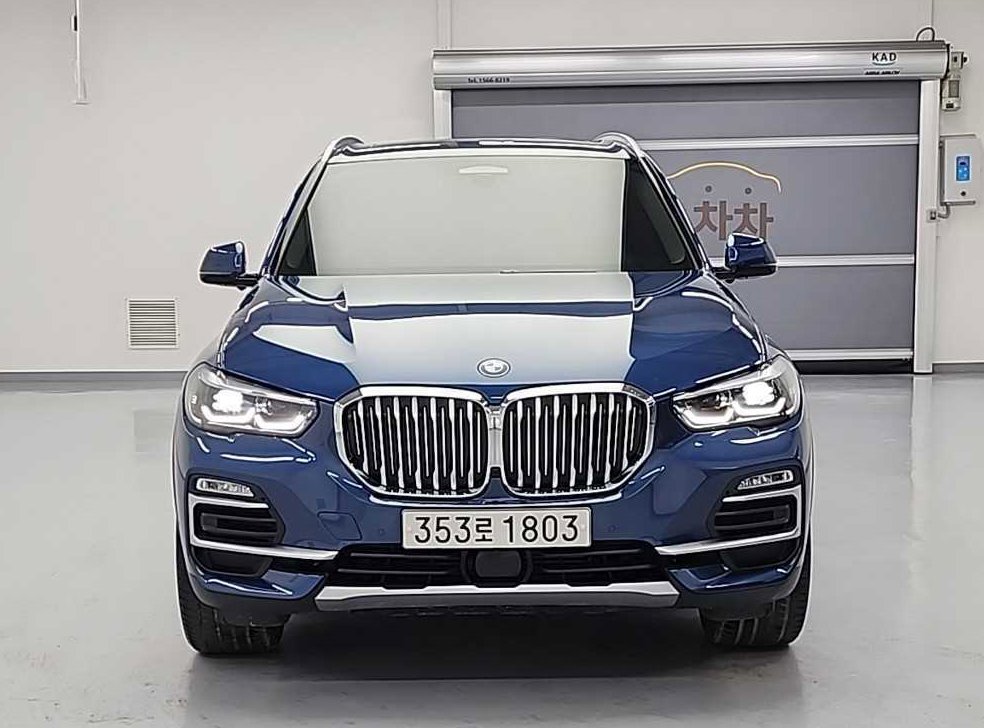 BMW X5 xDrive 30d xLine 사진 3