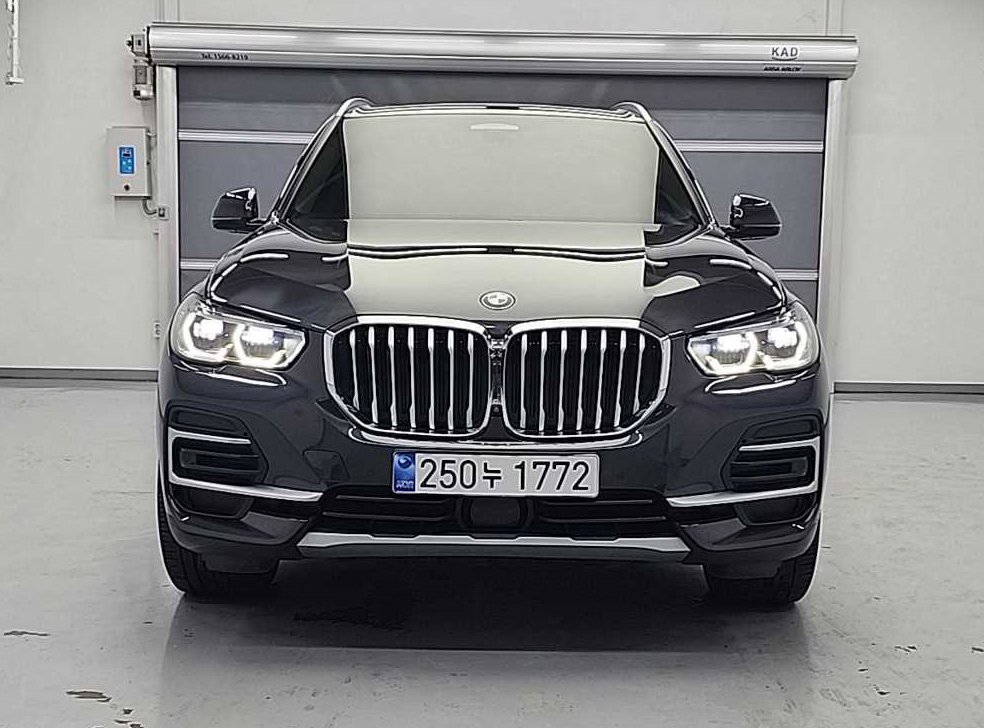 BMW X5 xDrive 30d xLine 사진 2