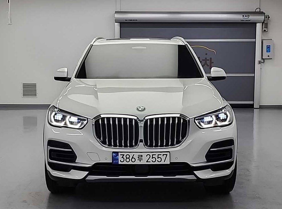 BMW X5 xDrive 30d xLine 사진 2