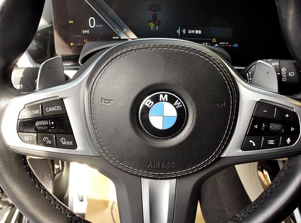 BMW X7 xDrive 40d M 스포츠 사진 8