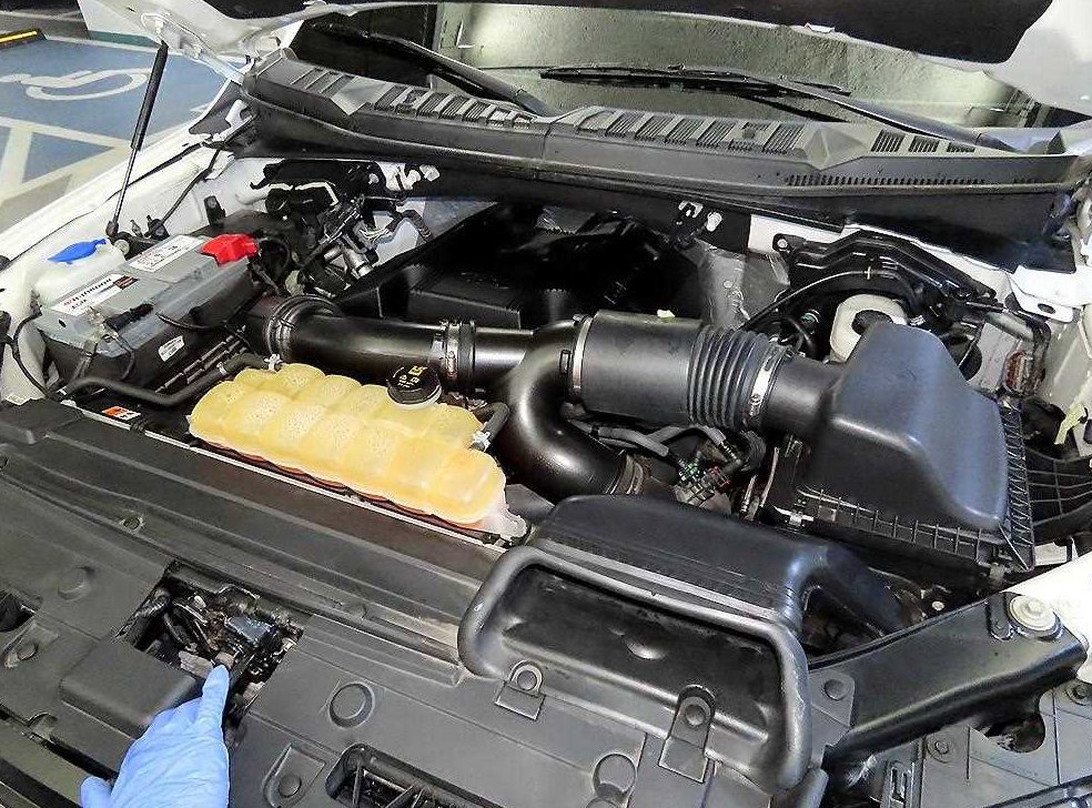 포드 F-Series 3.5L 사진 19
