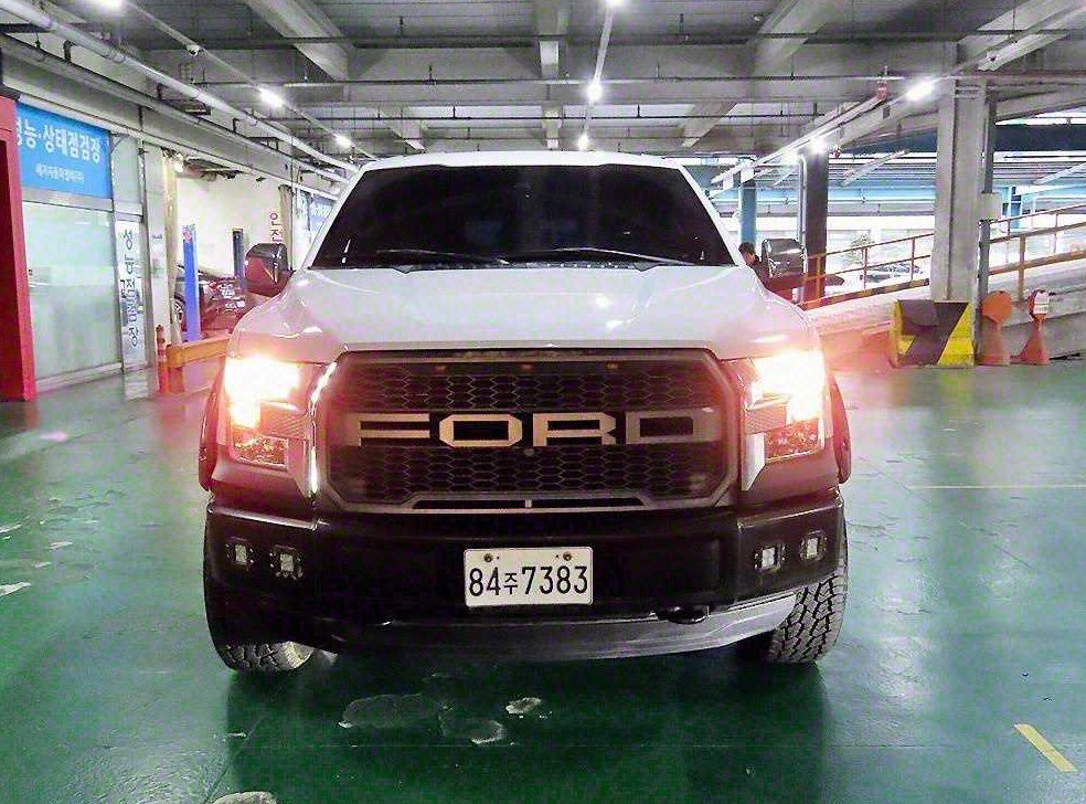 포드 F-Series 5.0L