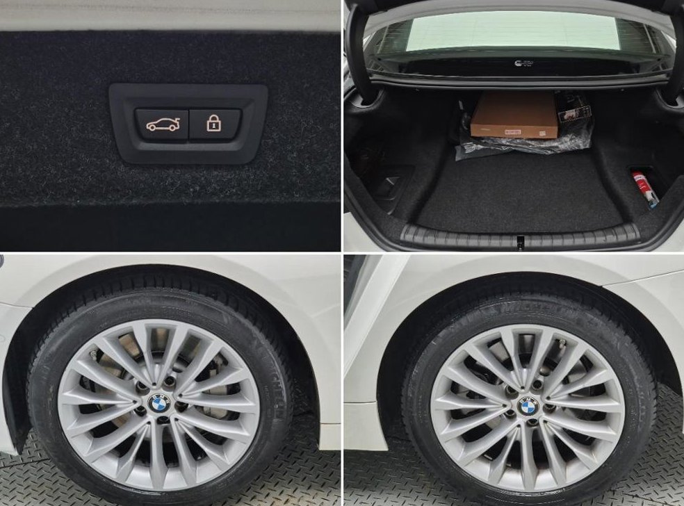 BMW 5시리즈 530i 럭셔리 플러스 사진 19