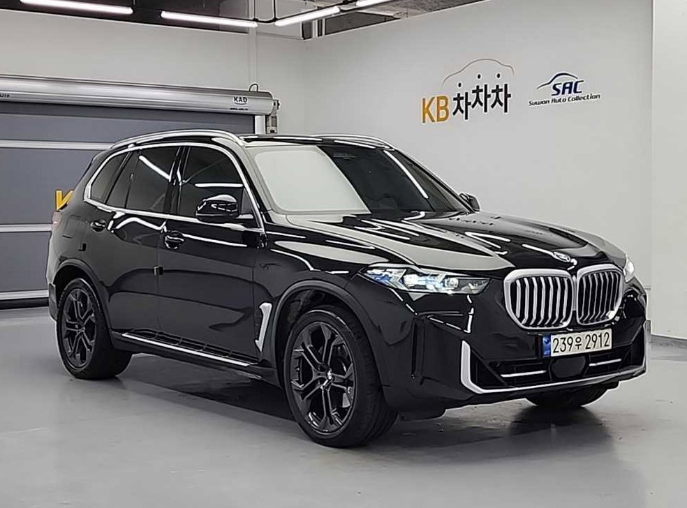 BMW X5 xDrive 40i xLine 사진 3