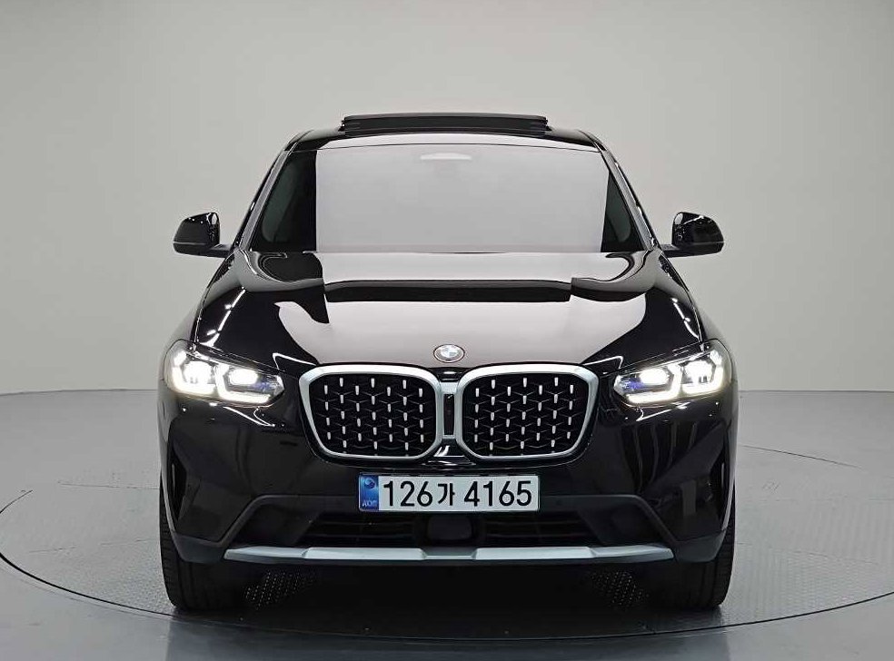 BMW X4 xDrive 20i xLine 사진 2