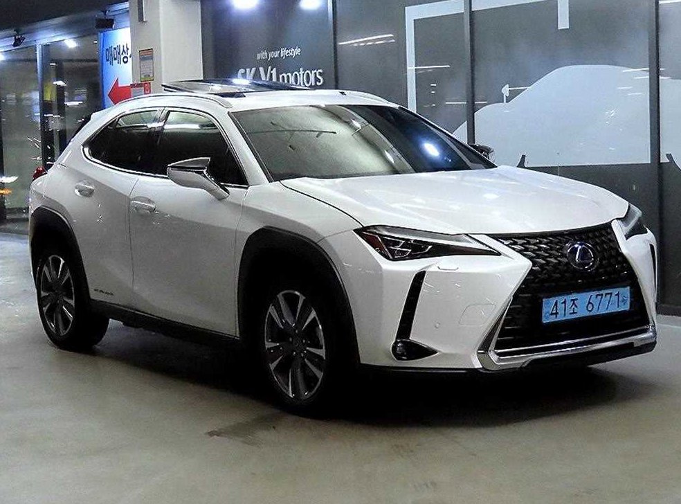 렉서스 UX 300e