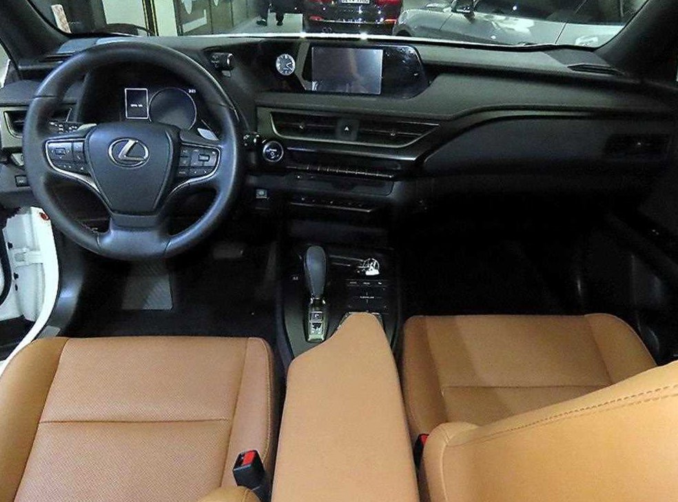 렉서스 UX 300e 사진 10