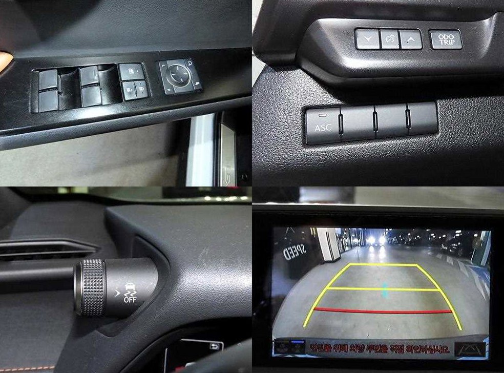 렉서스 UX 300e 사진 18