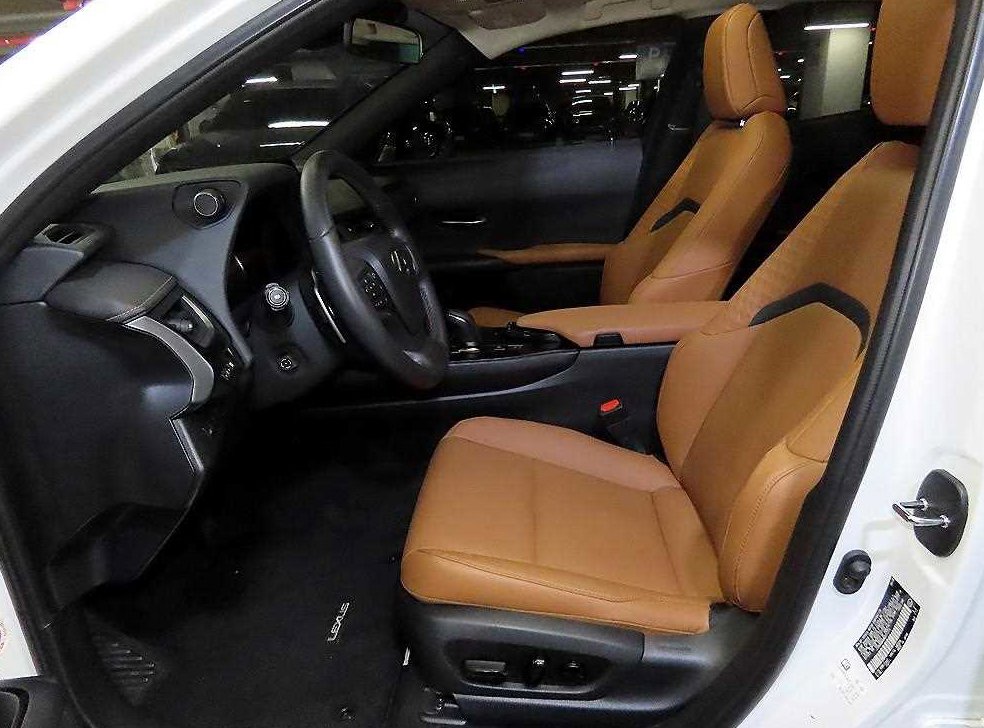 렉서스 UX 300e 사진 6