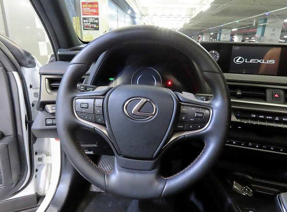 렉서스 UX 300e 사진 8