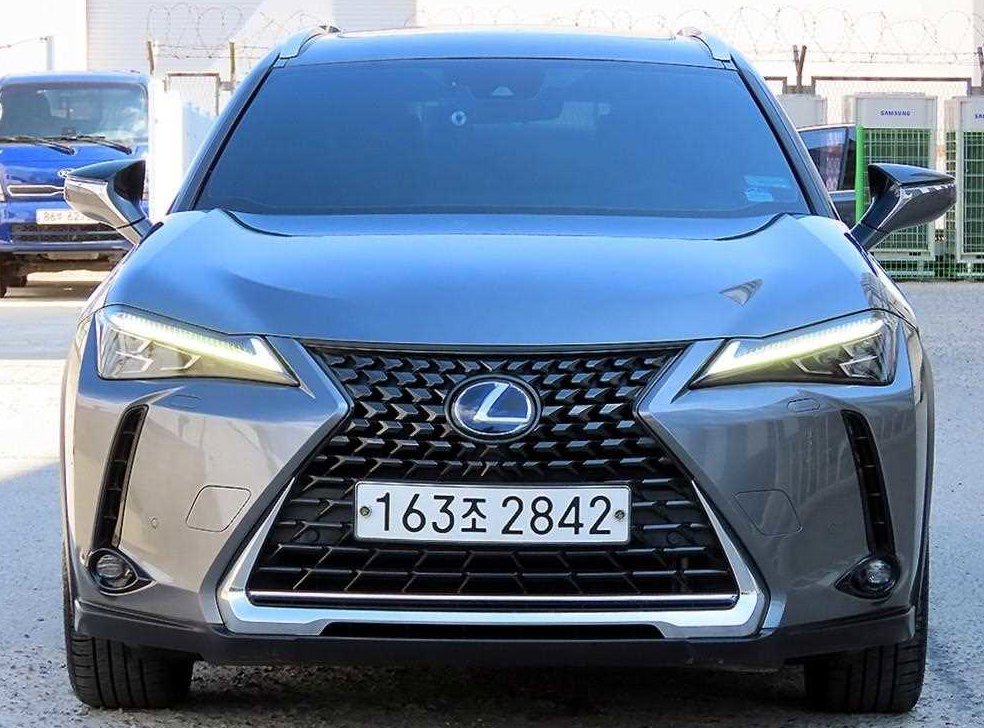 렉서스 UX 2.0 AWD