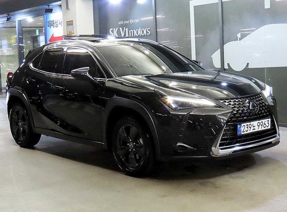 렉서스 UX 2.0 2WD