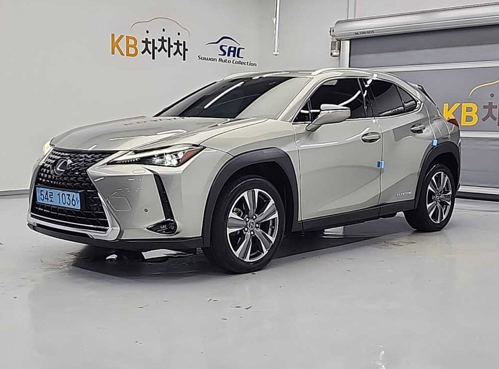 렉서스 UX 300e