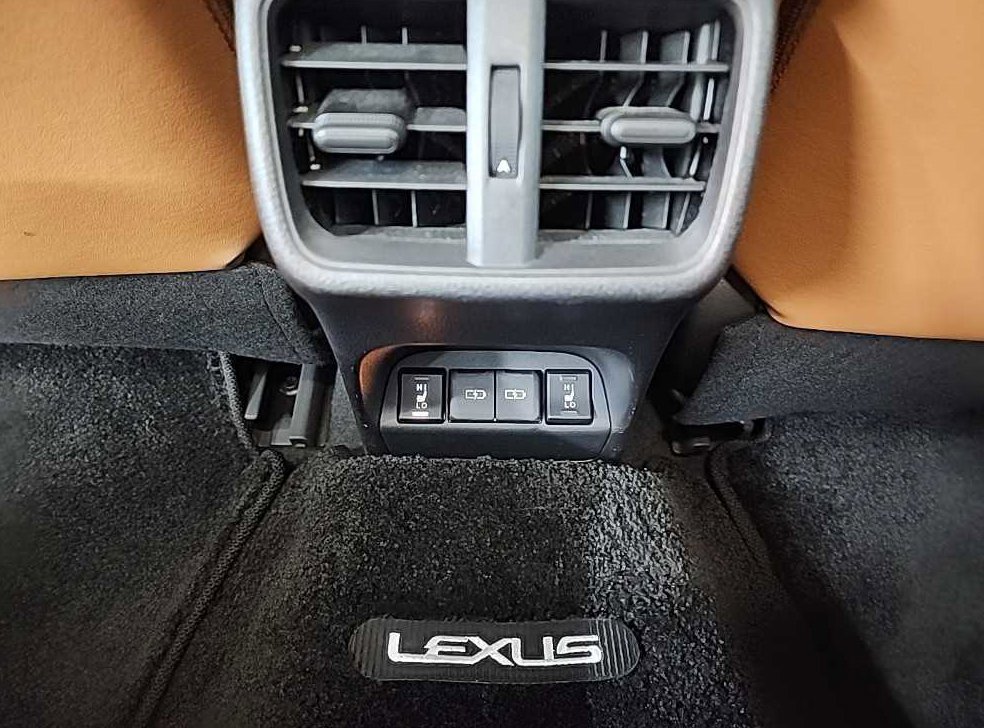 렉서스 UX 300e 사진 13