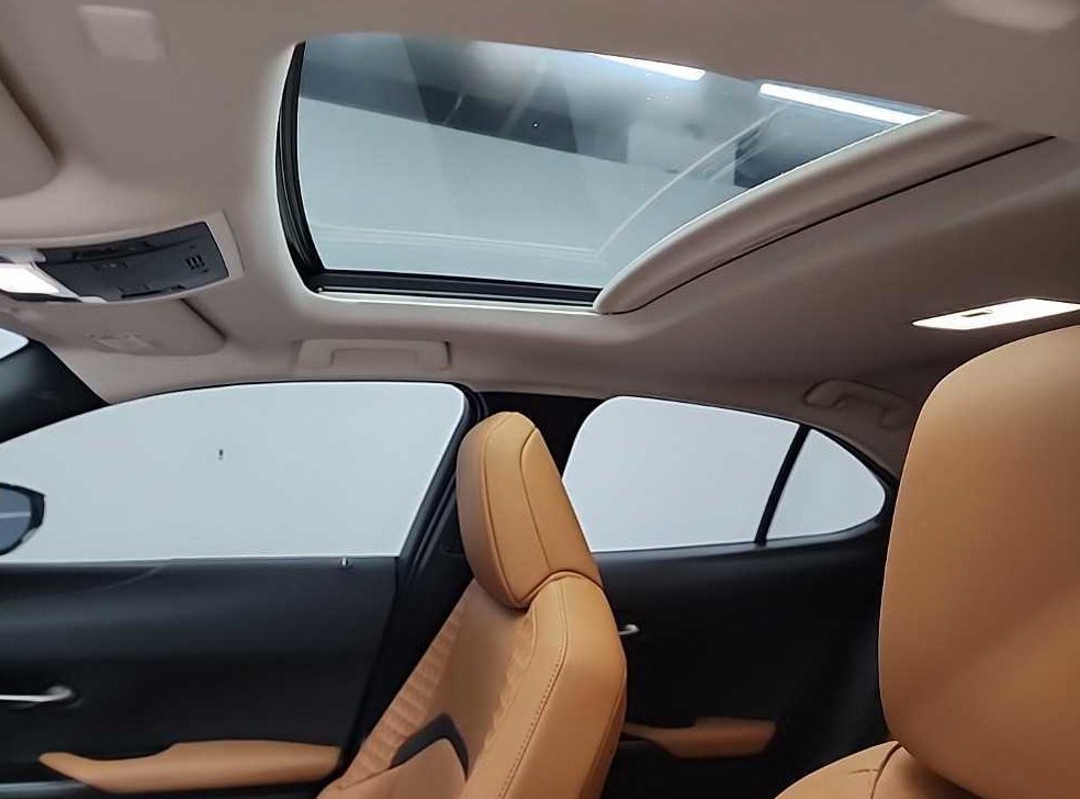 렉서스 UX 300e 사진 14