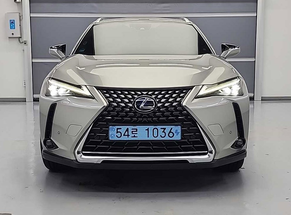 렉서스 UX 300e 사진 2