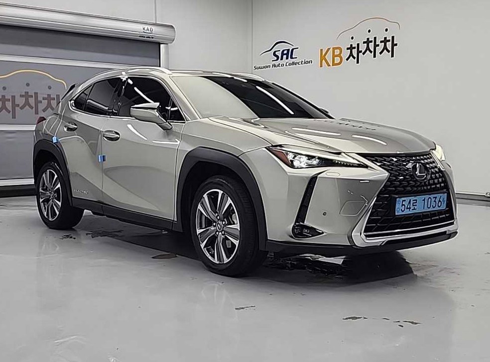 렉서스 UX 300e 사진 4