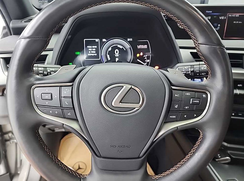 렉서스 UX 300e 사진 9