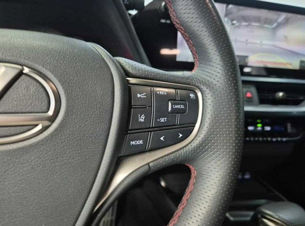 렉서스 UX 2.0 F 스포츠 2WD 사진 16