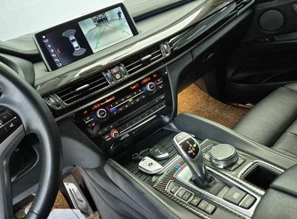 BMW X6 xDrive 30d 사진 10