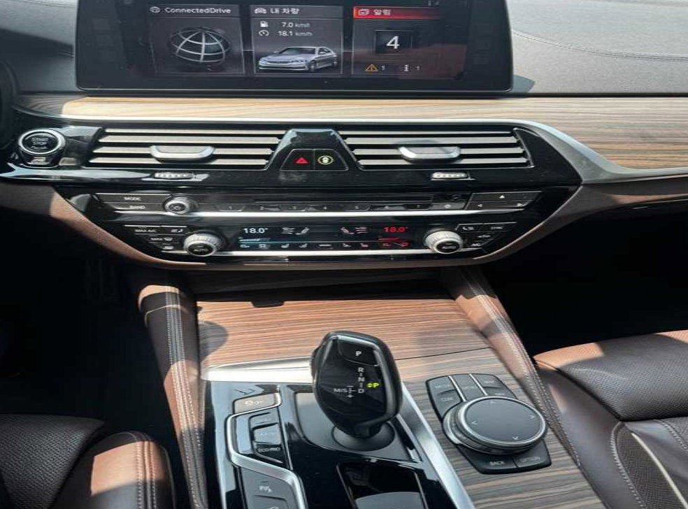 BMW 5시리즈 530i xDrive M 스포츠 플러스 사진 5