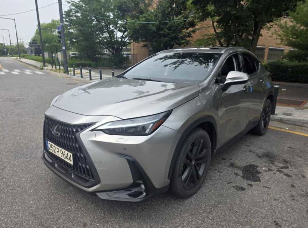렉서스 NX 프리미엄