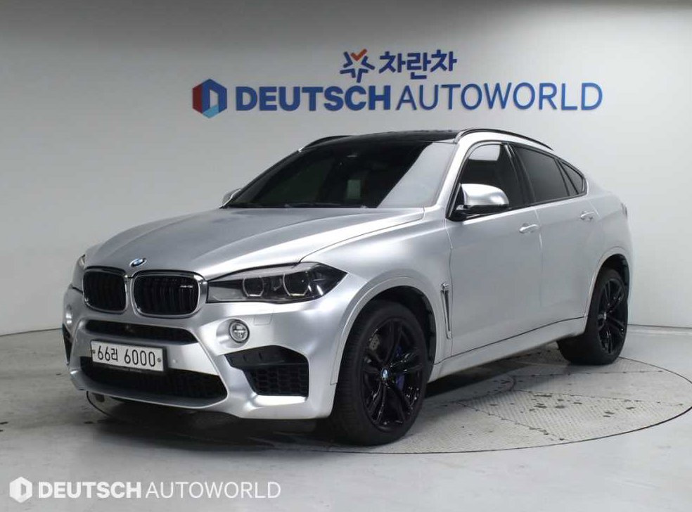 BMW X6 X6 M