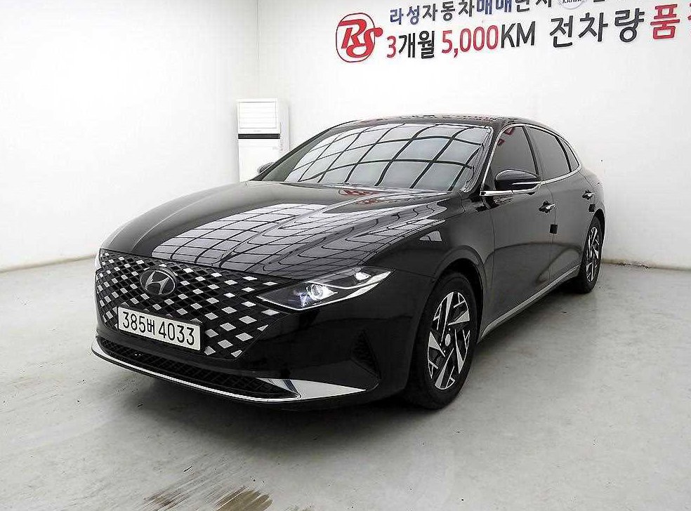 현대 그랜저 르블랑 사진 2