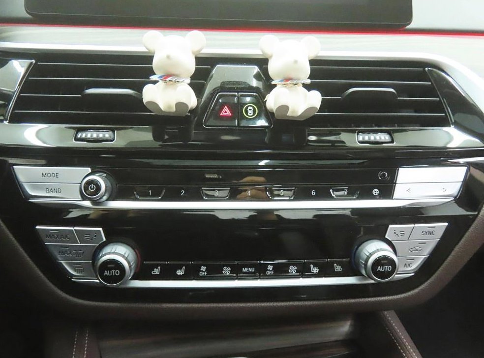 BMW 5시리즈 520d 럭셔리 플러스 사진 11