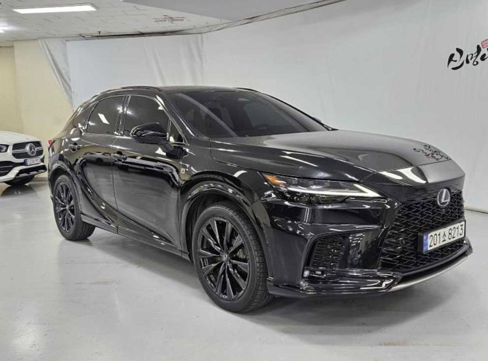 렉서스 RX F-Sport 사진 3