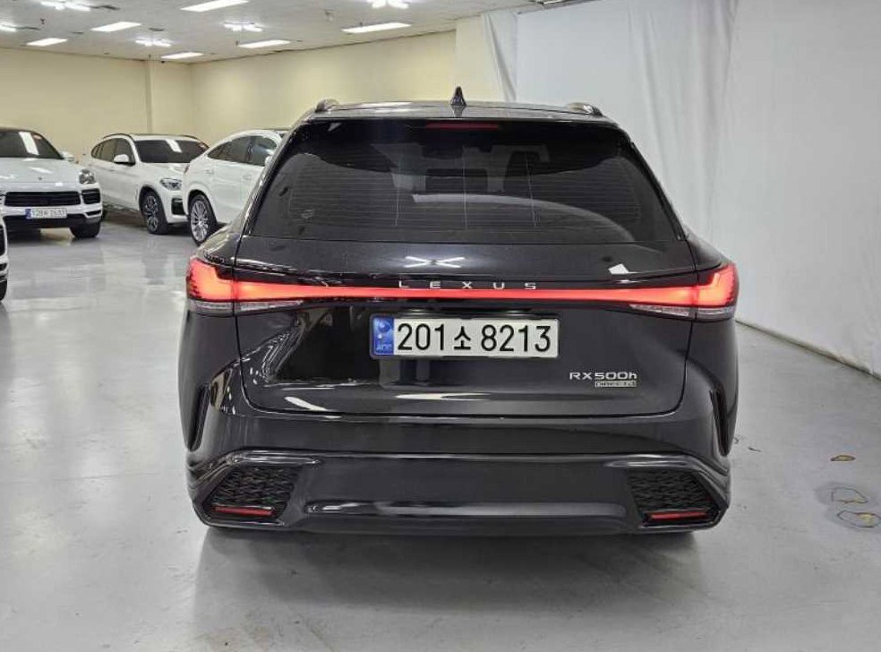 렉서스 RX F-Sport 사진 5