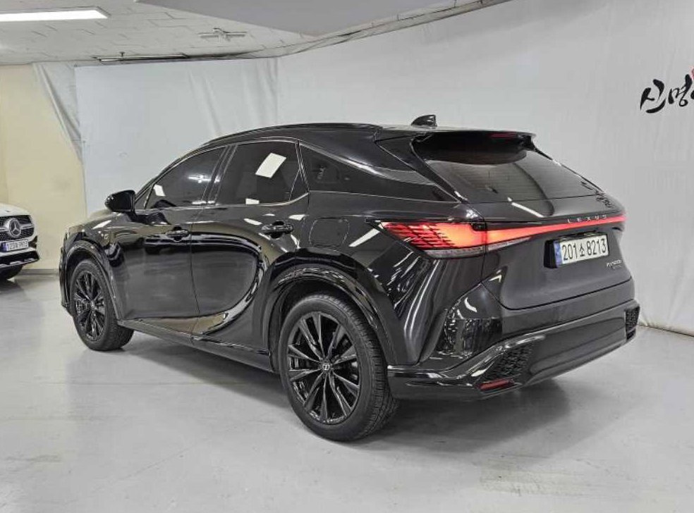 렉서스 RX F-Sport 사진 6