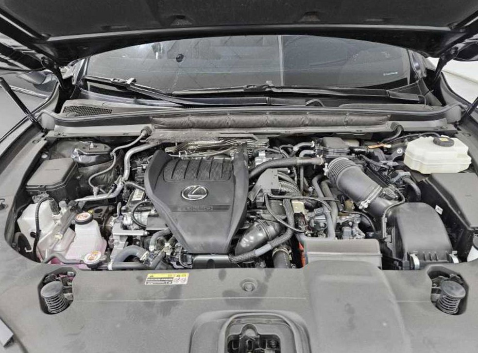 렉서스 RX F-Sport 사진 7