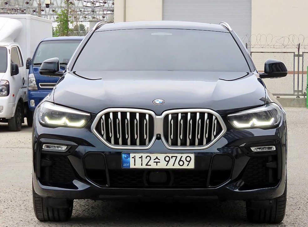 BMW X6 xDrive 30d M 스포츠
