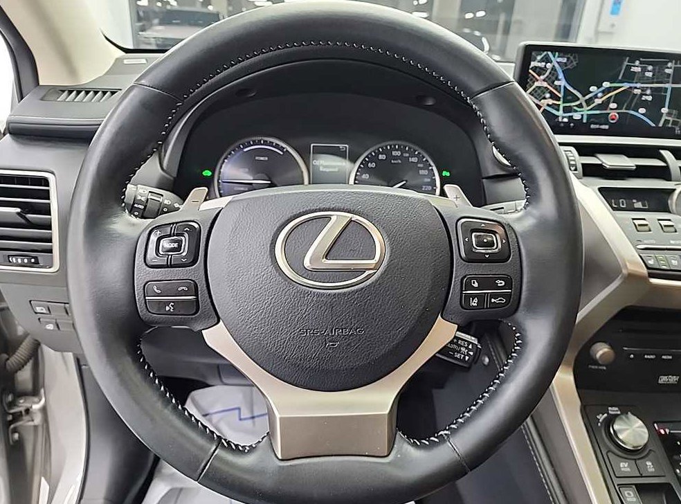 렉서스 NX 이그제큐티브 사진 9