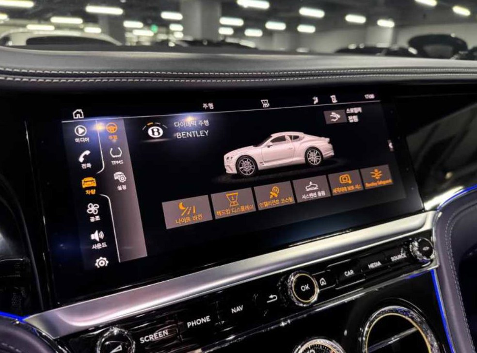 벤틀리 컨티넨탈 4.0 V8 GT S 사진 13