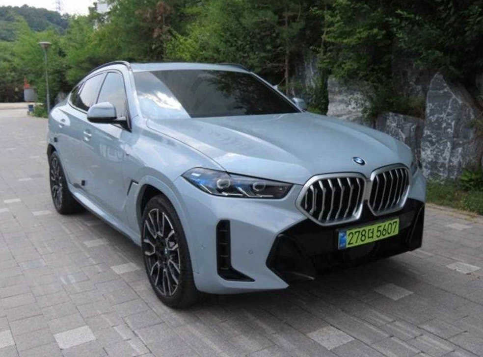 BMW X6 xDrive 40i M 스포츠 사진 2