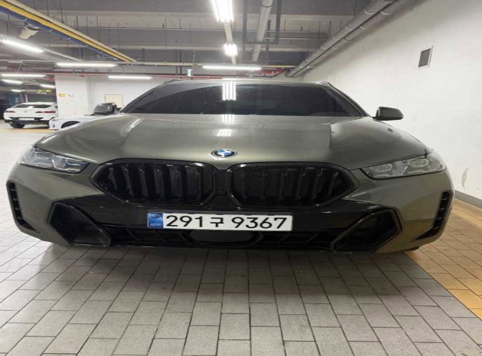 BMW X6 xDrive 30d M 스포츠