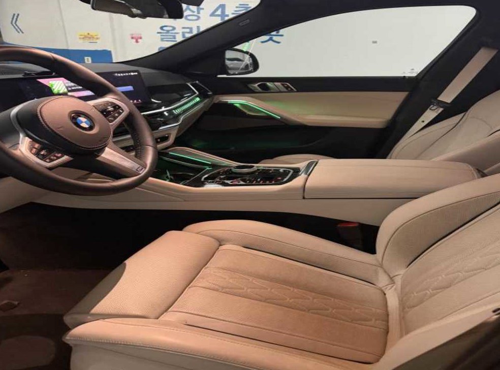 BMW X6 xDrive 30d M 스포츠 사진 9