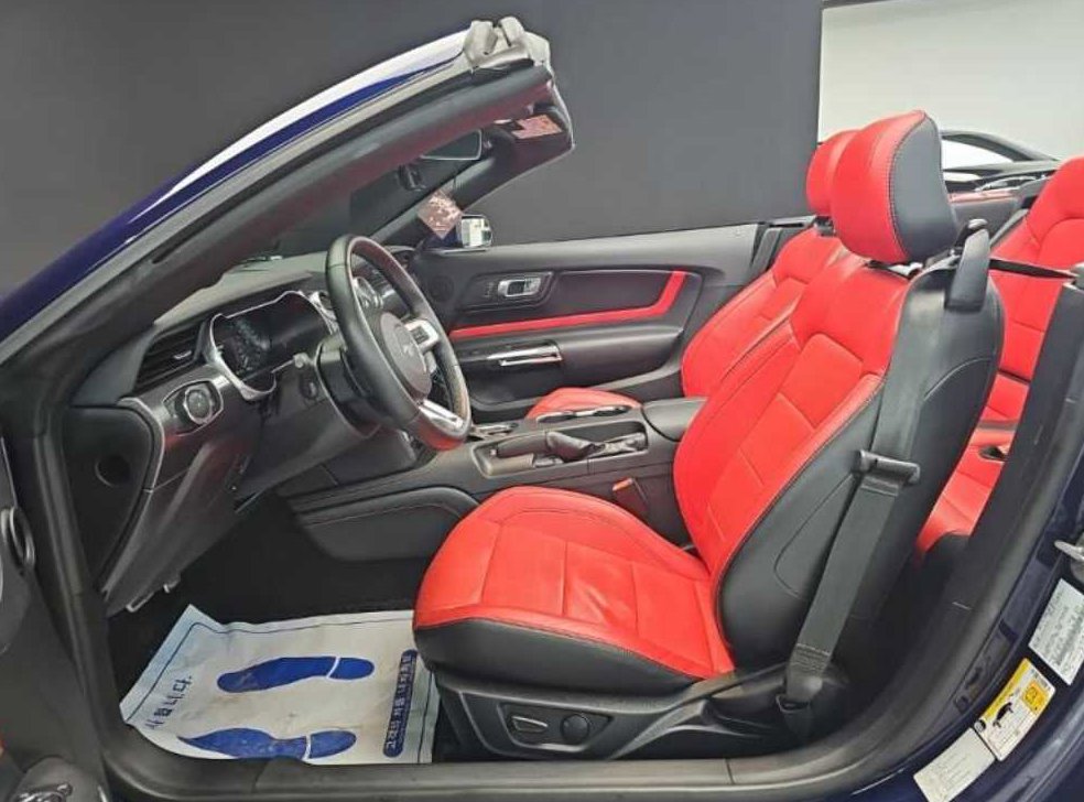 포드 머스탱 5.0 GT 컨버터블 사진 11
