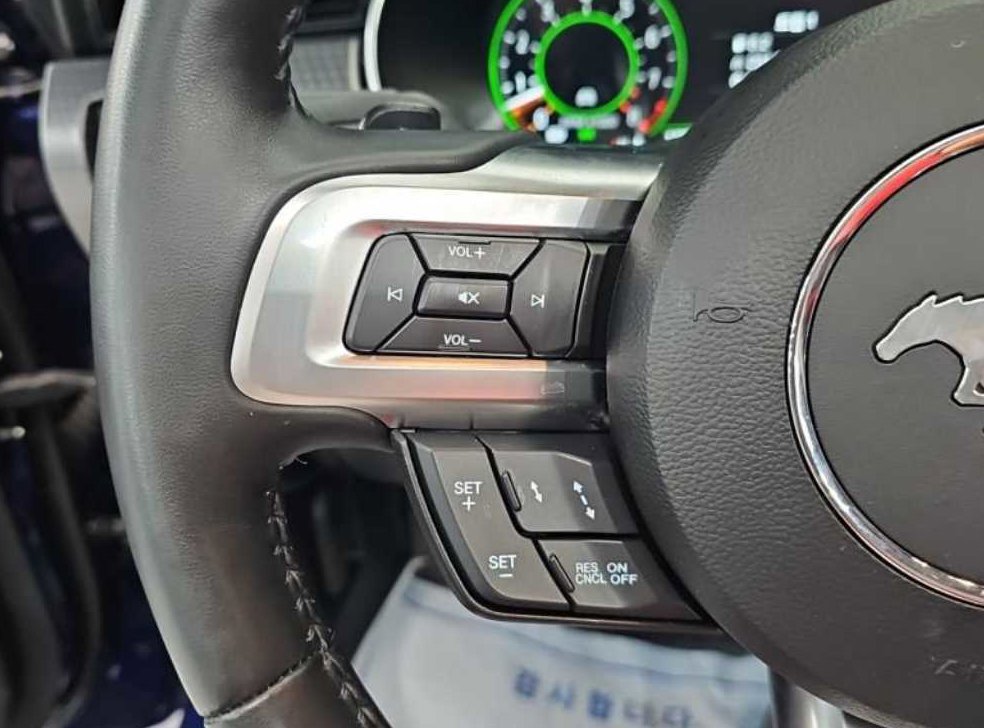 포드 머스탱 5.0 GT 컨버터블 사진 17